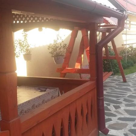 Pensiunea Adi Sapinta Ngoại thất bức ảnh